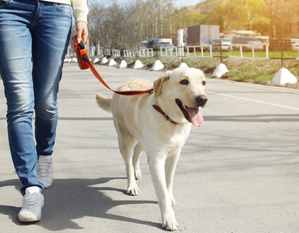 Walking helps your health.